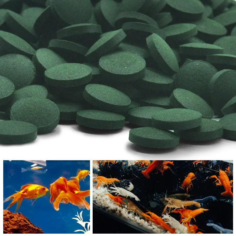 Aquarium Fish Vitamin - 100 قطعة أقراص سبيرولينا عالية النقاء