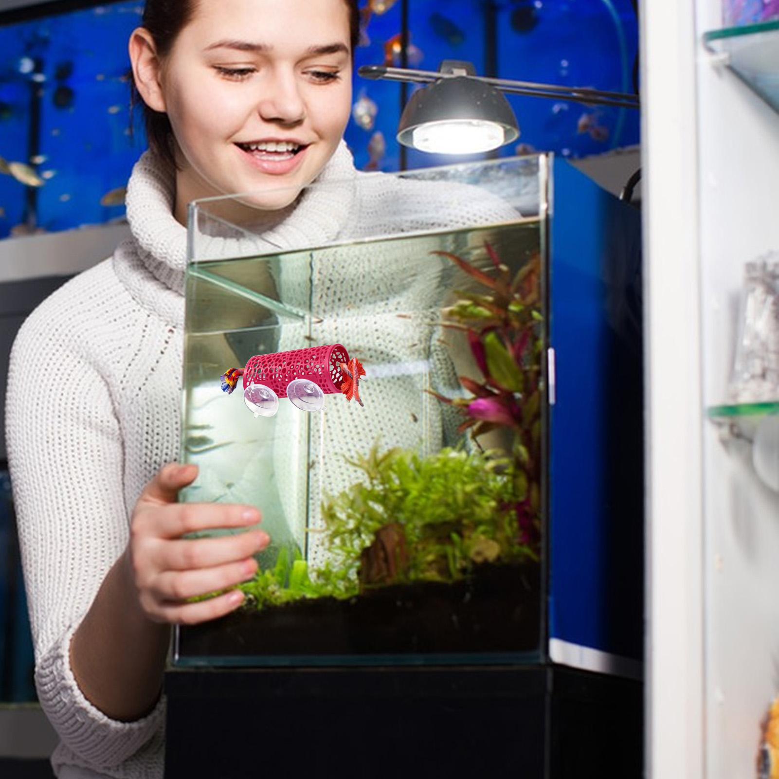 Fish Toy In Aquarium - مأوى استراحة لأسماك البيتا، زينة على