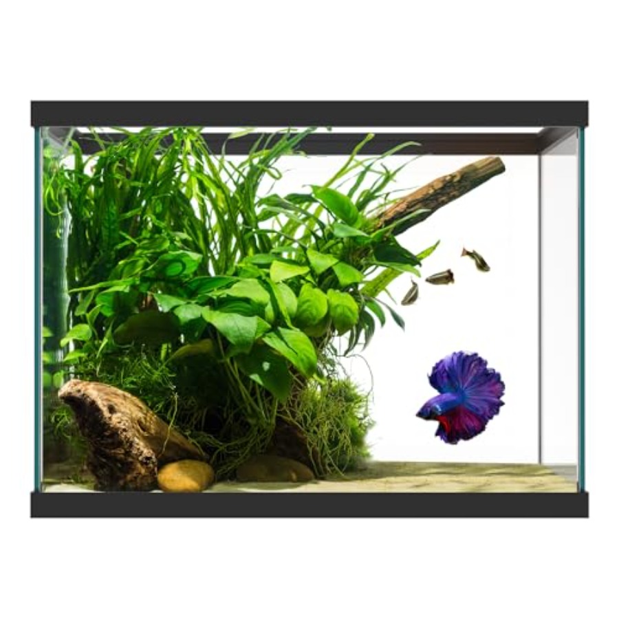 Fish Toy In Aquarium - حوض سمك زجاجي سعة 20 جالون
