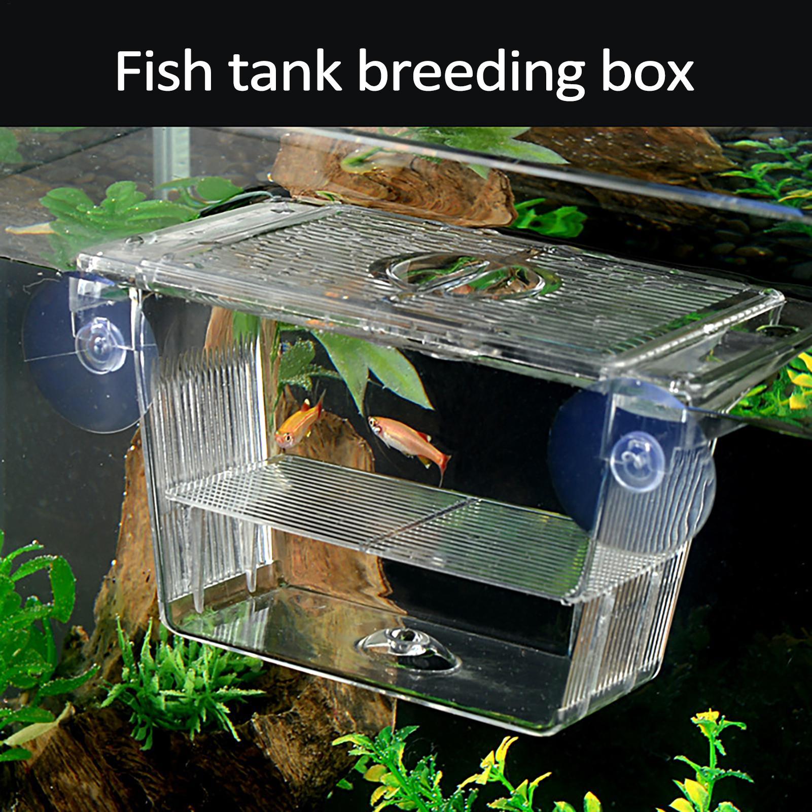 Fish Toy In Aquarium - صندوق تربية للأسماك في حوض السمك،