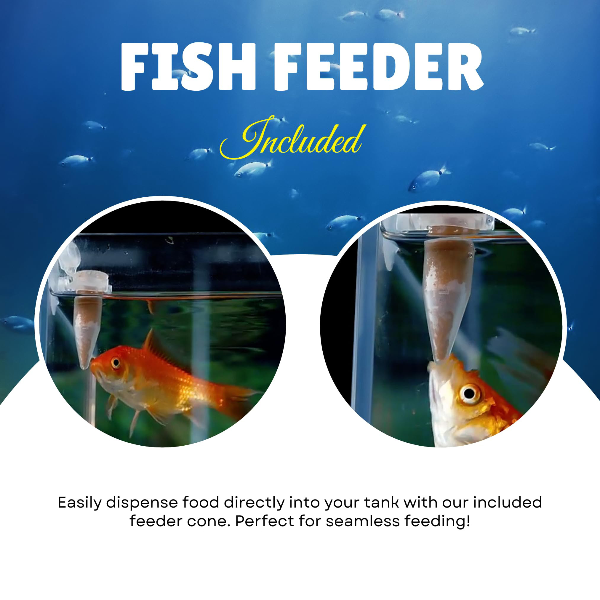 مجموعة كاملة من بيض الأرتيميا  - مراجعة Aquarium Fish Vitamin وسعره