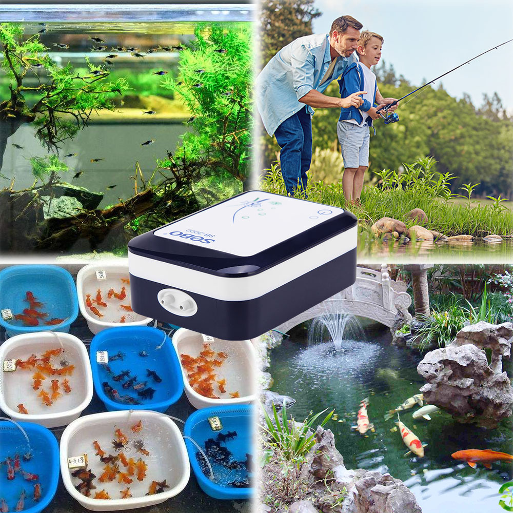 SOBO USB شحن حوض السمك مضخة أك - مراجعة Wild Aquarium Fish وسعره
