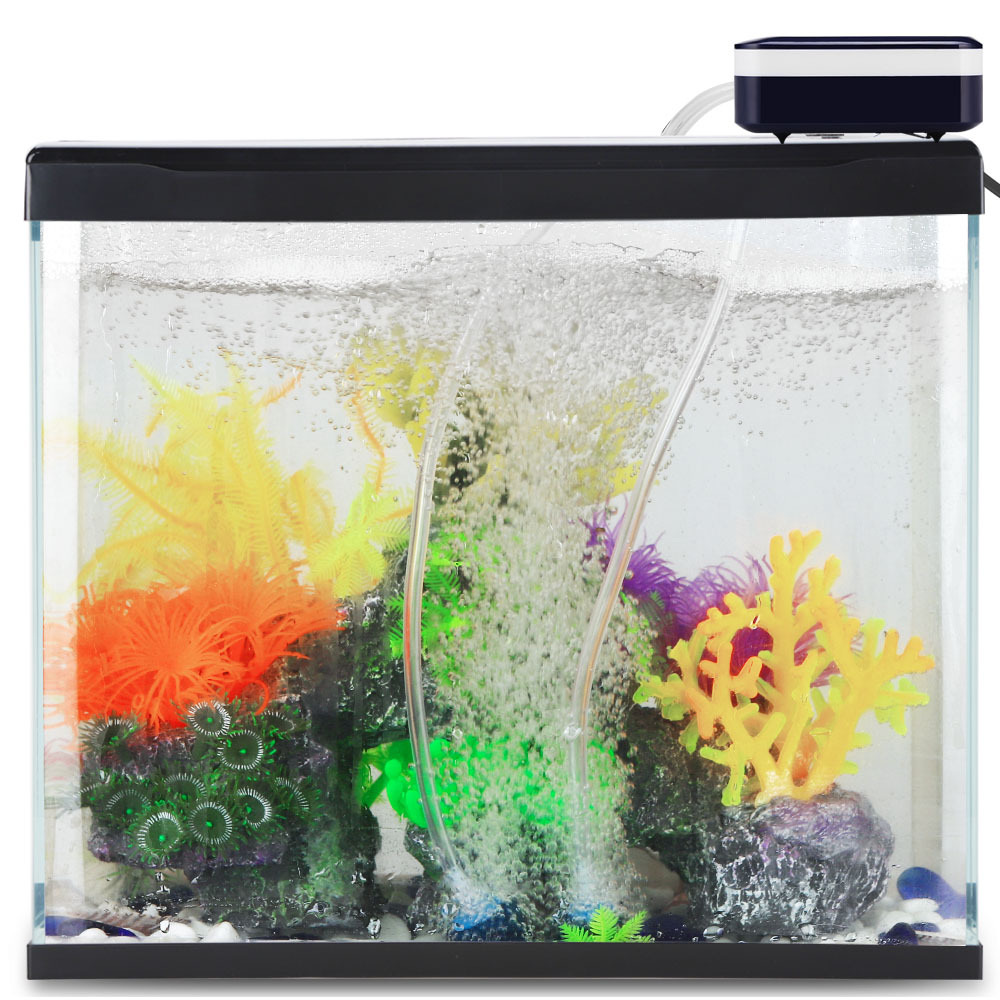 SOBO USB شحن حوض السمك مضخة أك - مراجعة Wild Aquarium Fish وسعره