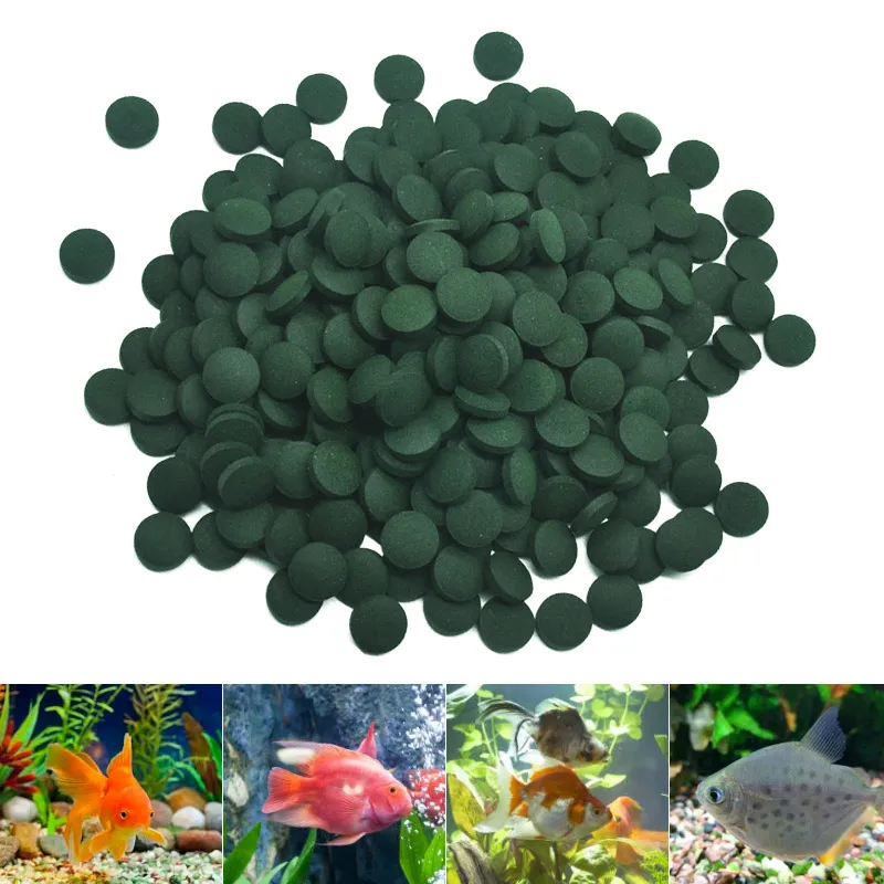 100 قطعة أقراص سبيرولينا عالية - مراجعة Aquarium Fish Vitamin وسعره