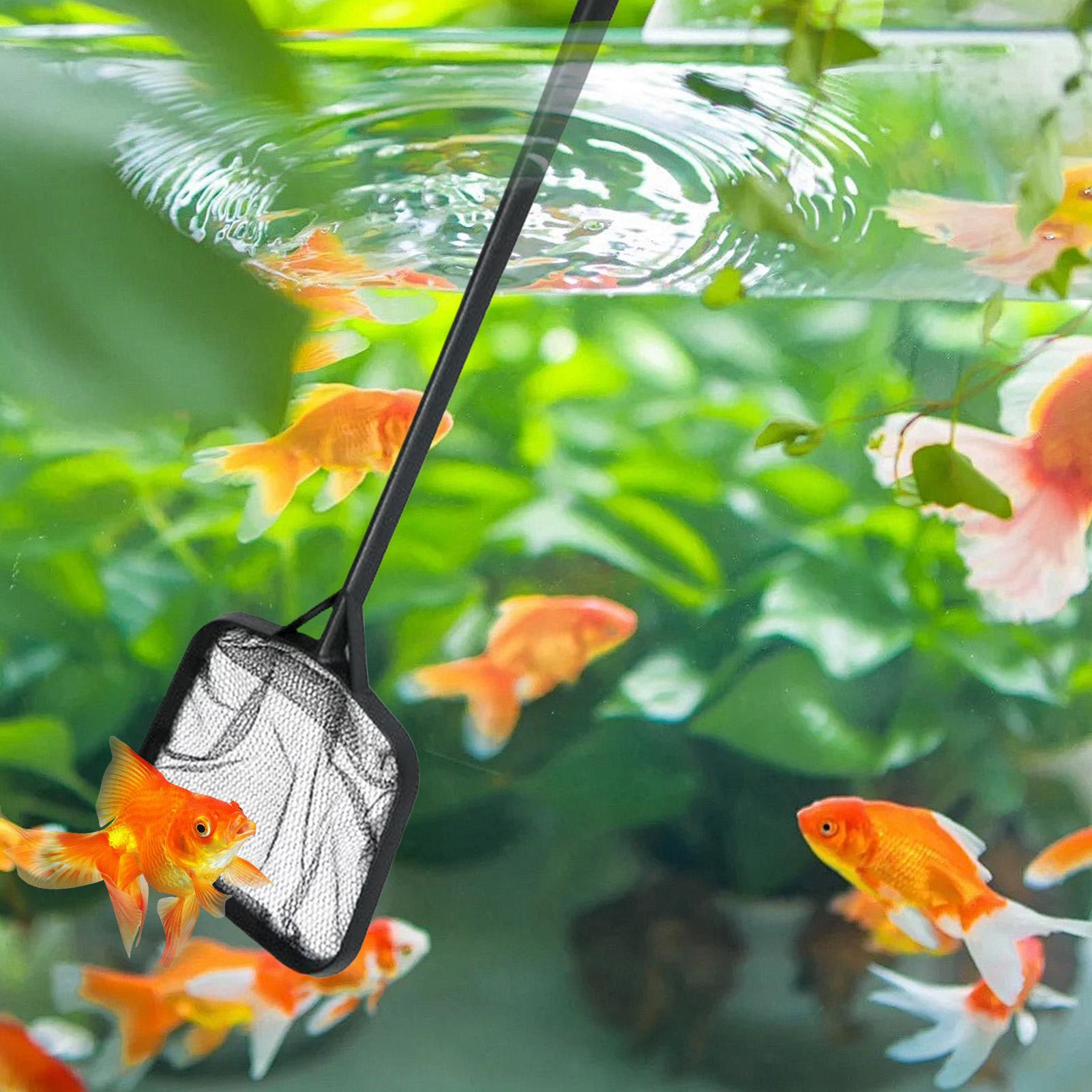 شبكات تنظيف حمامات السباحة، شب - مراجعة Aquarium Fish Items وسعره
