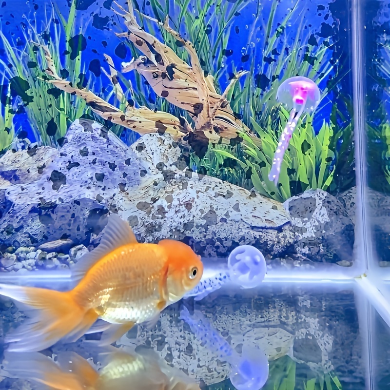 3/5 قطع من ديكورات قناديل البح - مراجعة Aquarium Fish Discus وسعره