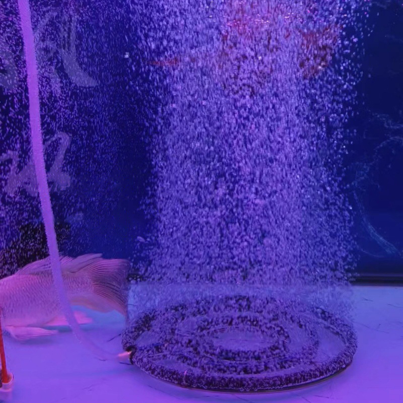 قرص تهوية نانو أكسجيني من الفو - مراجعة Aquarium Fish Discus وسعره