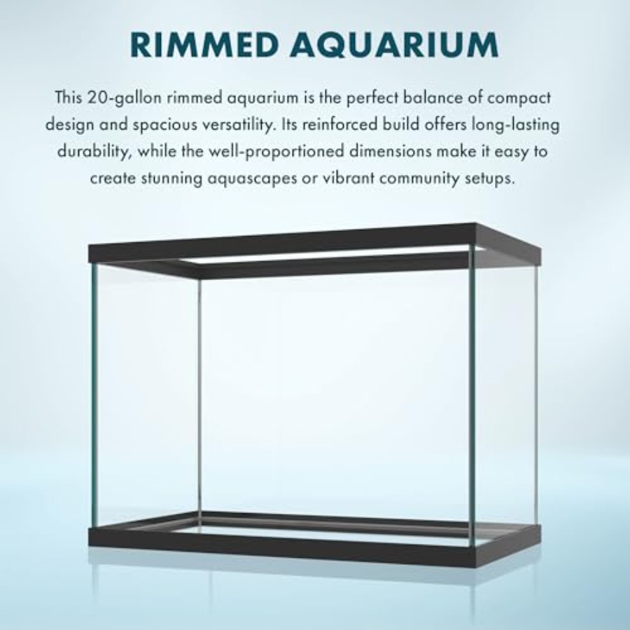 حوض سمك زجاجي سعة 20 جالون - 2 - مراجعة Fish Toy In Aquarium وسعره