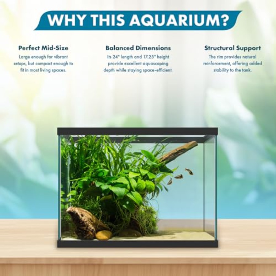 حوض سمك زجاجي سعة 20 جالون - 2 - مراجعة Fish Toy In Aquarium وسعره