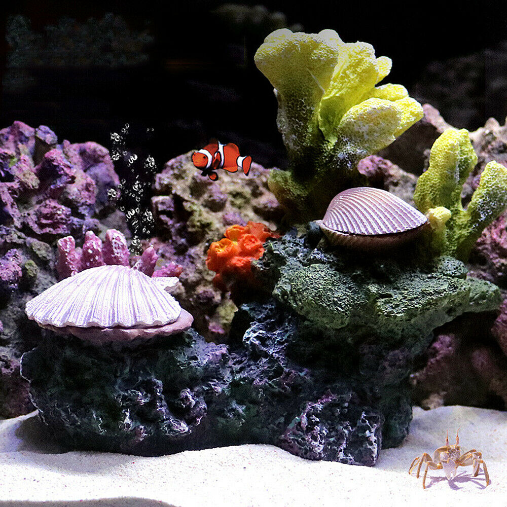 زينة حوض أسماك للشعاب المرجاني - مراجعة Aquarium Fish Discus وسعره