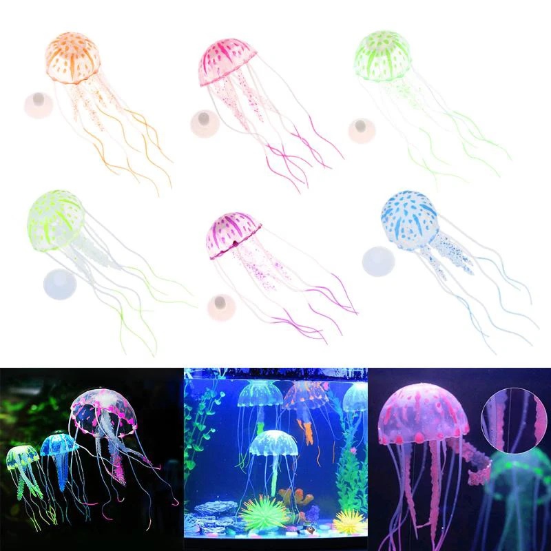 قطعة أو قطعتين من زينة السمك ا - مراجعة Aquarium Fish Discus وسعره