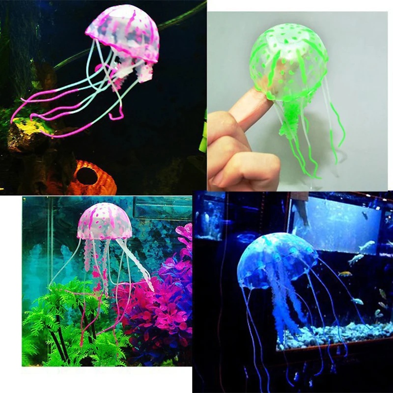 قطعة أو قطعتين من زينة السمك ا - مراجعة Aquarium Fish Discus وسعره