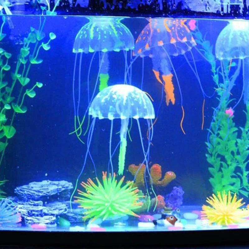 قطعة أو قطعتين من زينة السمك ا - مراجعة Aquarium Fish Discus وسعره