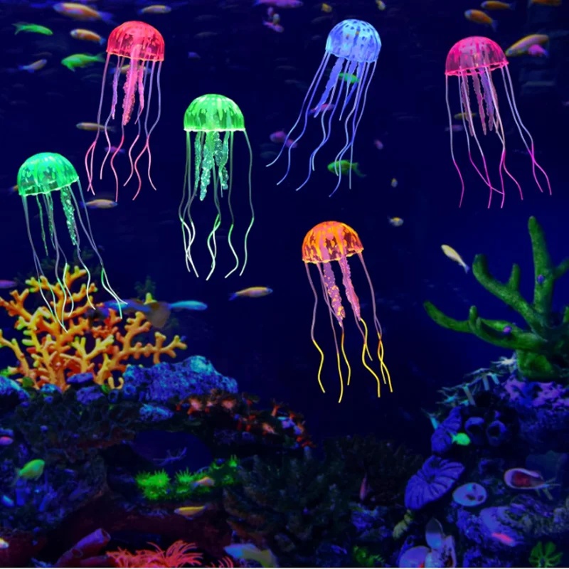 قطعة أو قطعتين من قنديل البحر  - مراجعة Aquarium Fish Discus وسعره