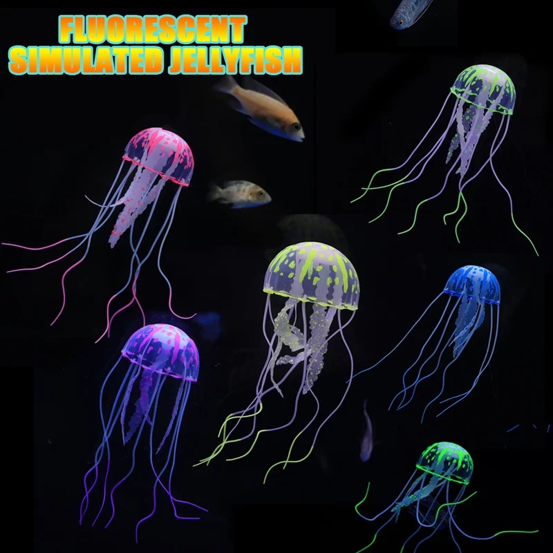 قطعة أو قطعتين من قنديل البحر  - مراجعة Aquarium Fish Discus وسعره