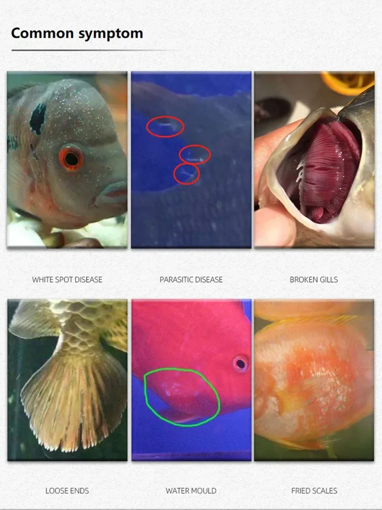1/2 زجاجة محلول الميثيلين الأز - مراجعة Aquarium Fish Vitamin وسعره