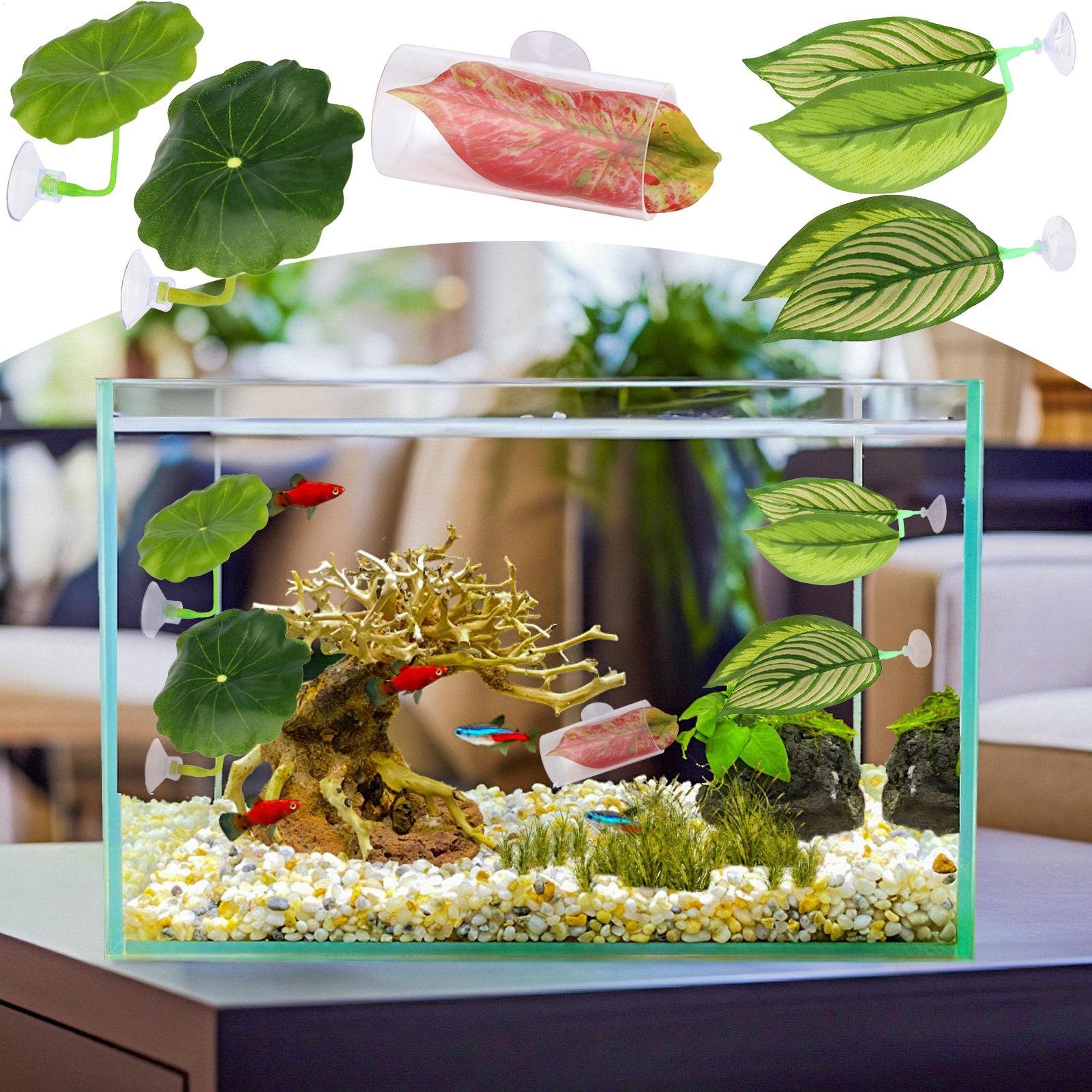 بيتا أرجوحة السمك 5 قطع قابل ل - مراجعة Fish Toy In Aquarium وسعره