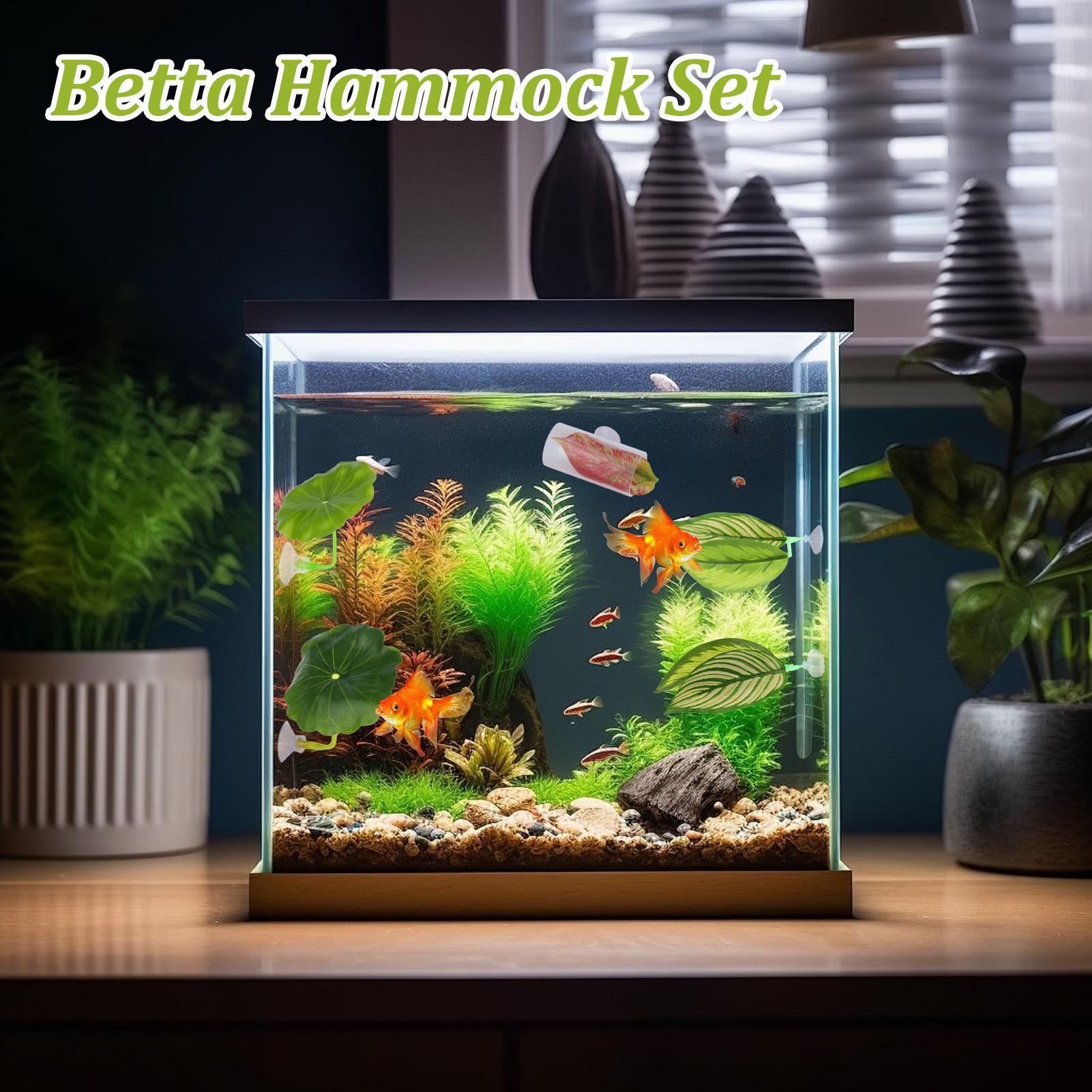 بيتا أرجوحة السمك 5 قطع قابل ل - مراجعة Fish Toy In Aquarium وسعره