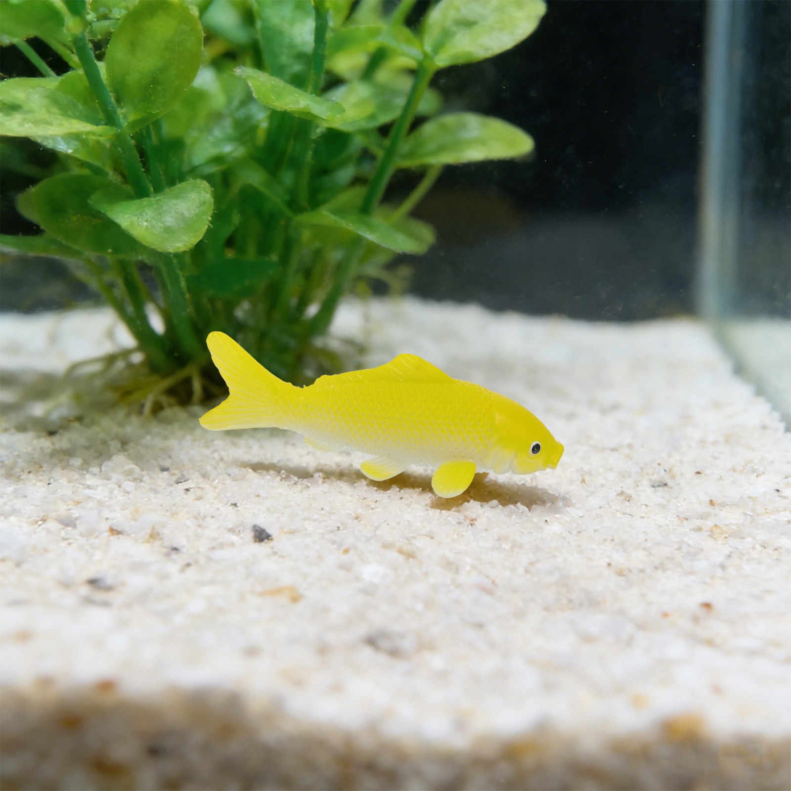 3 قطع من ألعاب الأسماك الحرفية - مراجعة Fish Toy In Aquarium وسعره