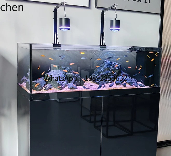 مجموعة Stream Tank Native Wild - مراجعة Wild Aquarium Fish وسعره