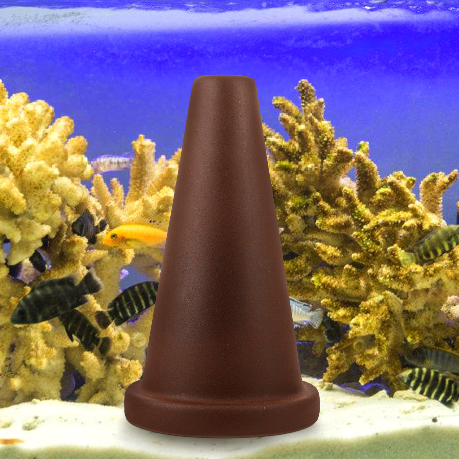 كهف تكاثر وتكاثر الأسماك على ش - مراجعة Aquarium Fish Discus وسعره