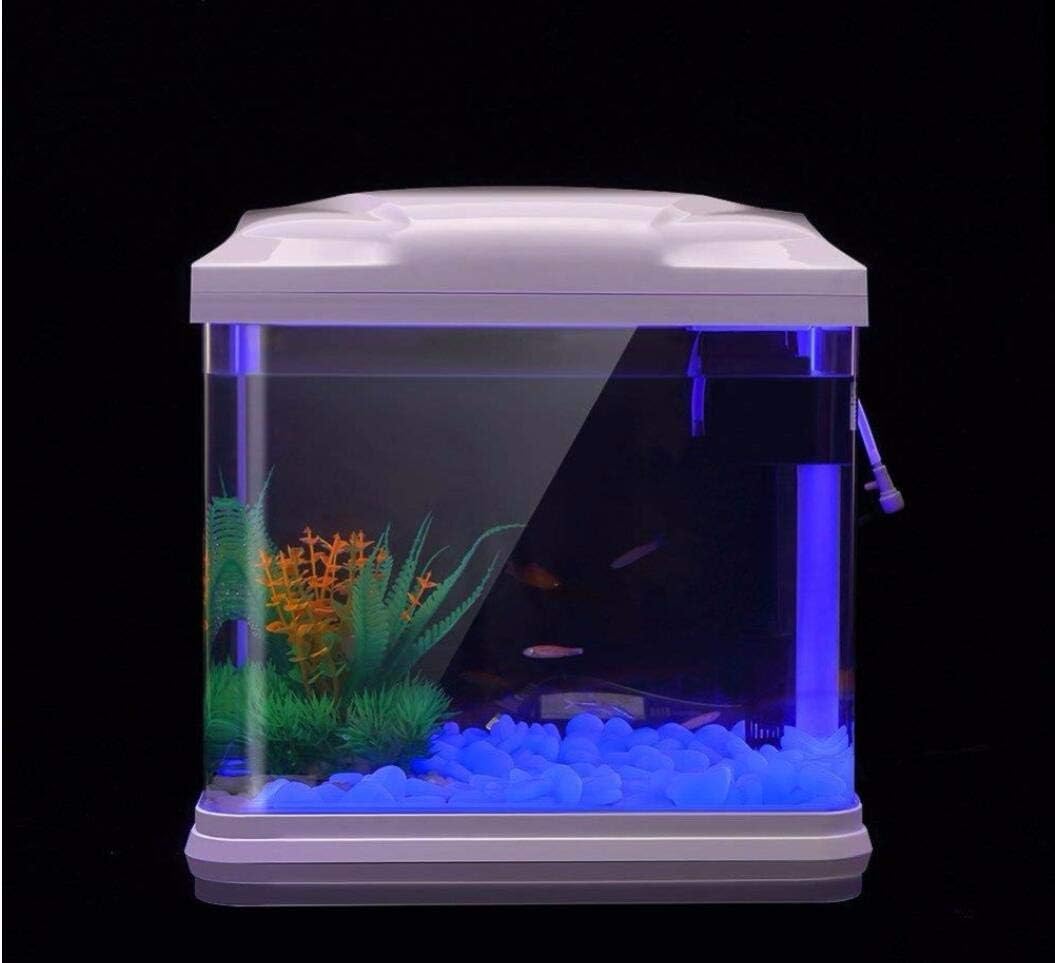 حوض السمك الصخور توهج الحصى ال - مراجعة Aquarium Fish Farm وسعره