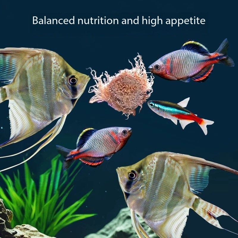 مكعبات ديدان الدم المجففة بالت - مراجعة Aquarium Fish Vitamin وسعره