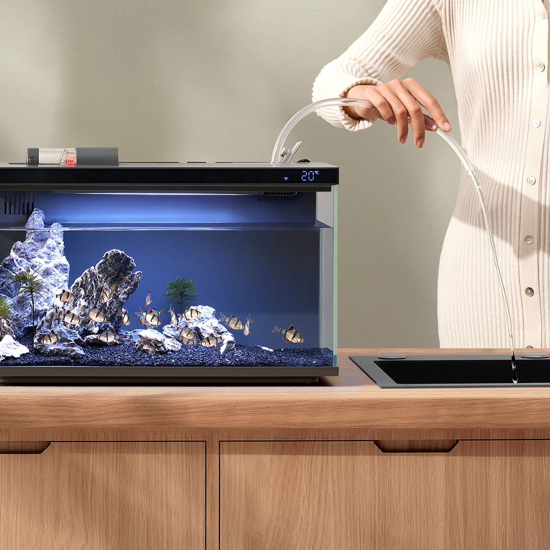 Xiaomi Mijia Smart Fish Tank M - مراجعة Aquarium Fish Items وسعره