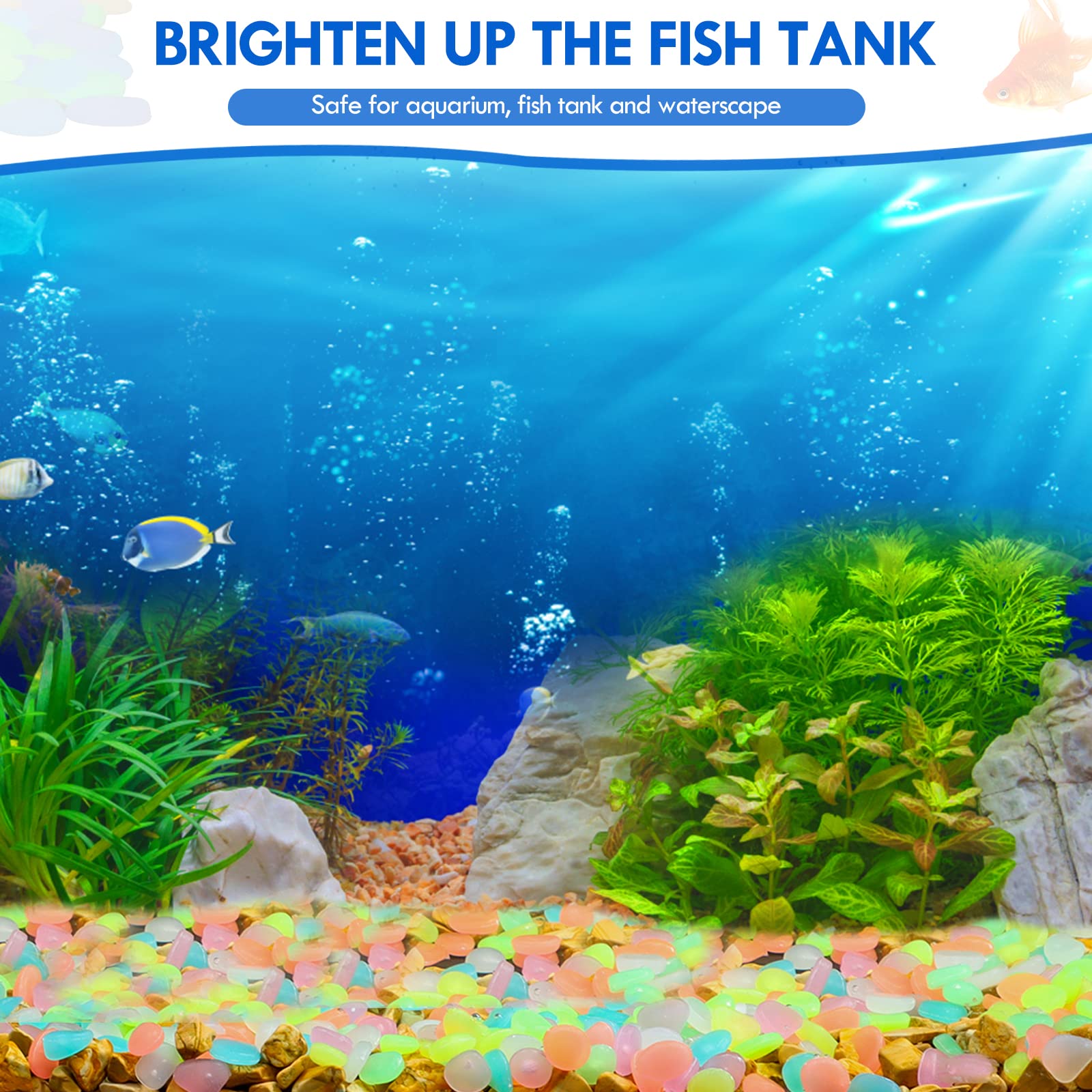 100 قطعة يتوهج في الظلام حديقة - مراجعة Aquarium Fish Farm وسعره