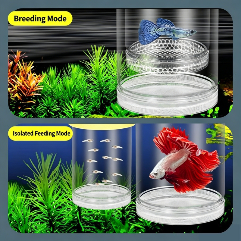 صندوق تفريخ شفاف عائم للأحواض  - مراجعة Fish Toy In Aquarium وسعره