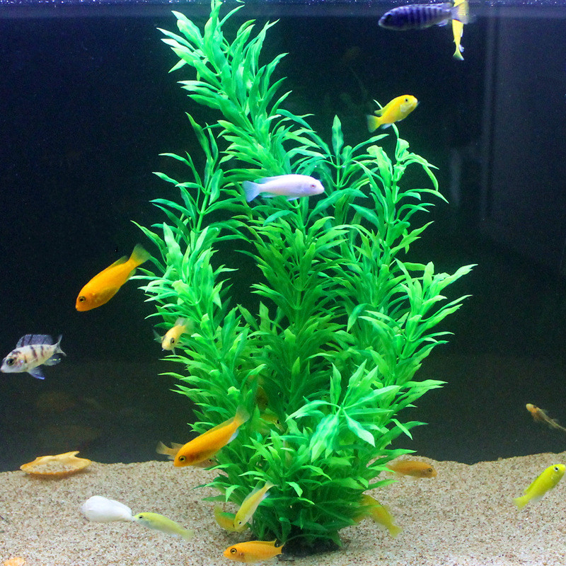 نباتات اصطناعية نادرة لأحواض ا - مراجعة Aquarium Fish Farm وسعره