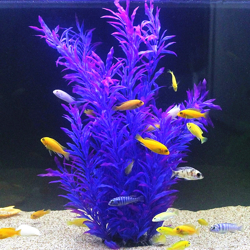نباتات اصطناعية نادرة لأحواض ا - مراجعة Aquarium Fish Farm وسعره
