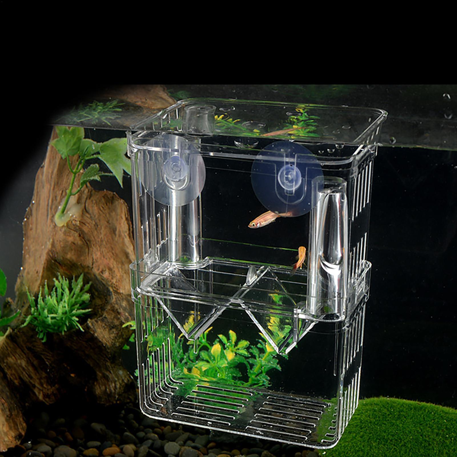 صندوق تربية للأسماك في حوض الس - مراجعة Fish Toy In Aquarium وسعره