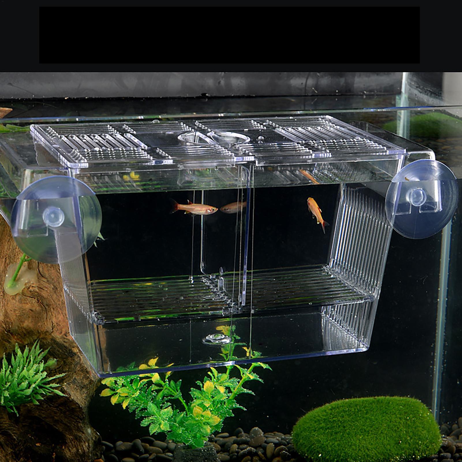 صندوق تربية للأسماك في حوض الس - مراجعة Fish Toy In Aquarium وسعره