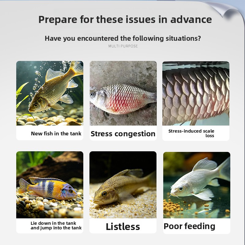 أقراص فيتامين سي الفوارة من VO - مراجعة Aquarium Fish Vitamin وسعره