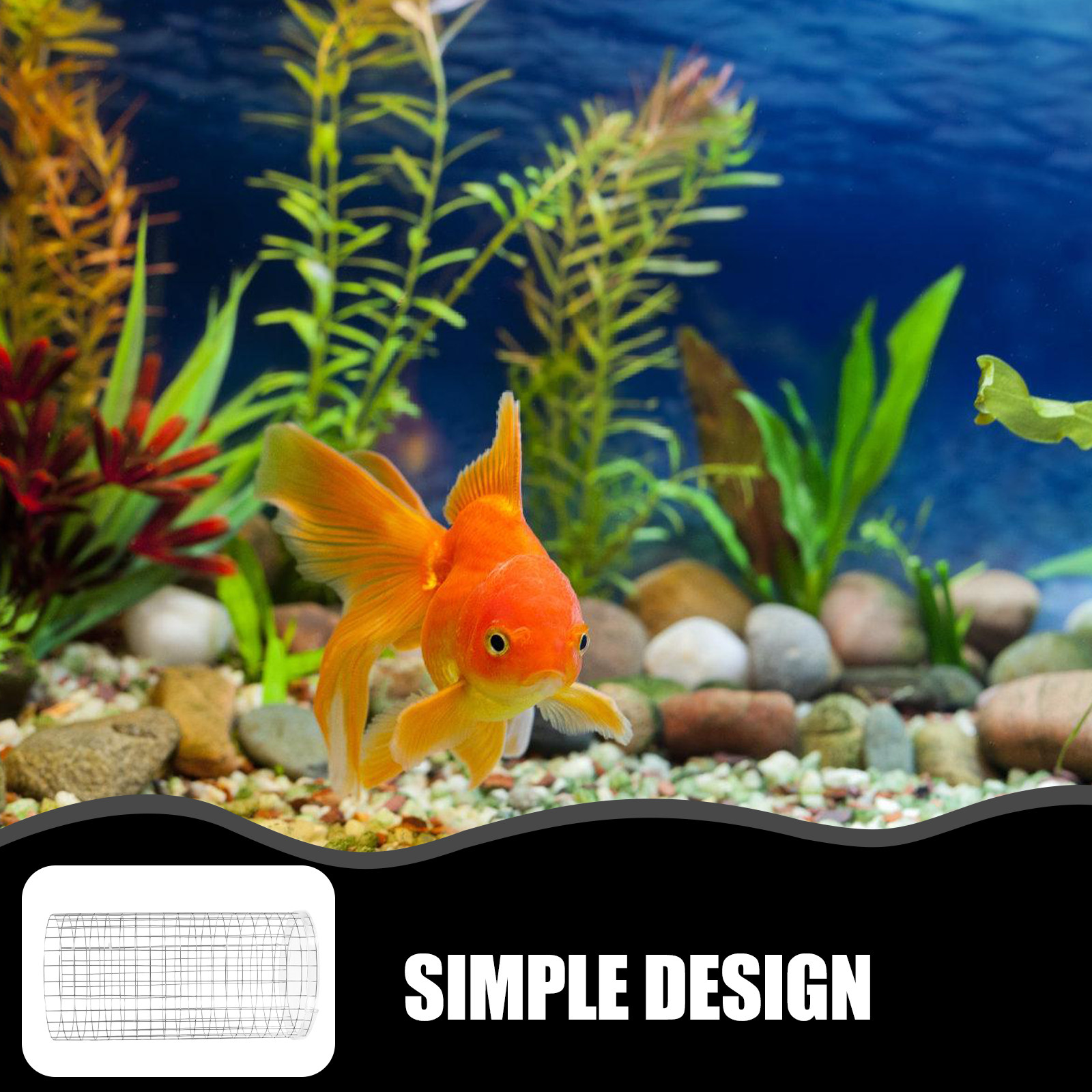 شبكة تربية الأسماك في أحواض ال - مراجعة Aquarium Fish Discus وسعره