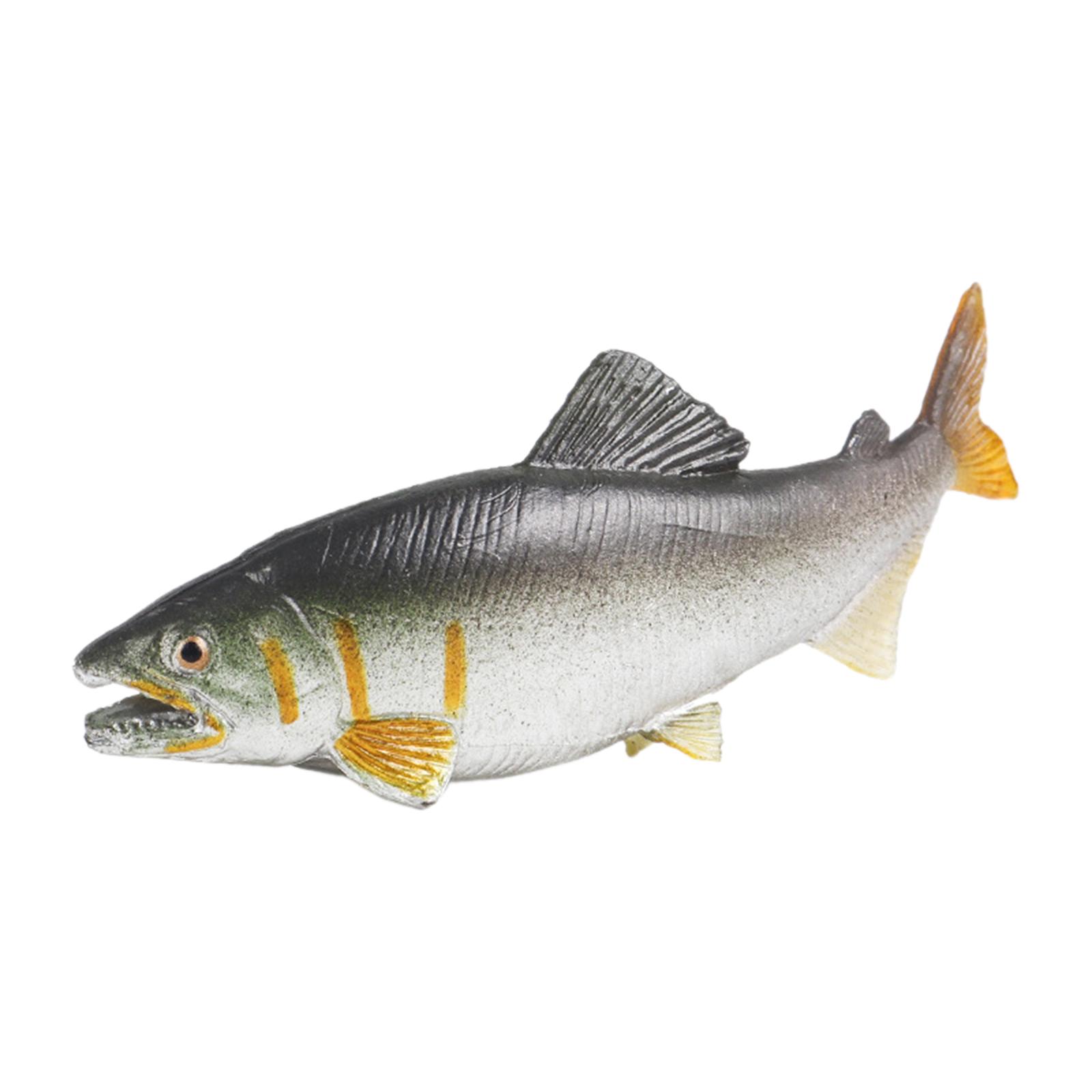 3x ديكورات حوض السمك على شكل س - مراجعة Fish Toy In Aquarium وسعره