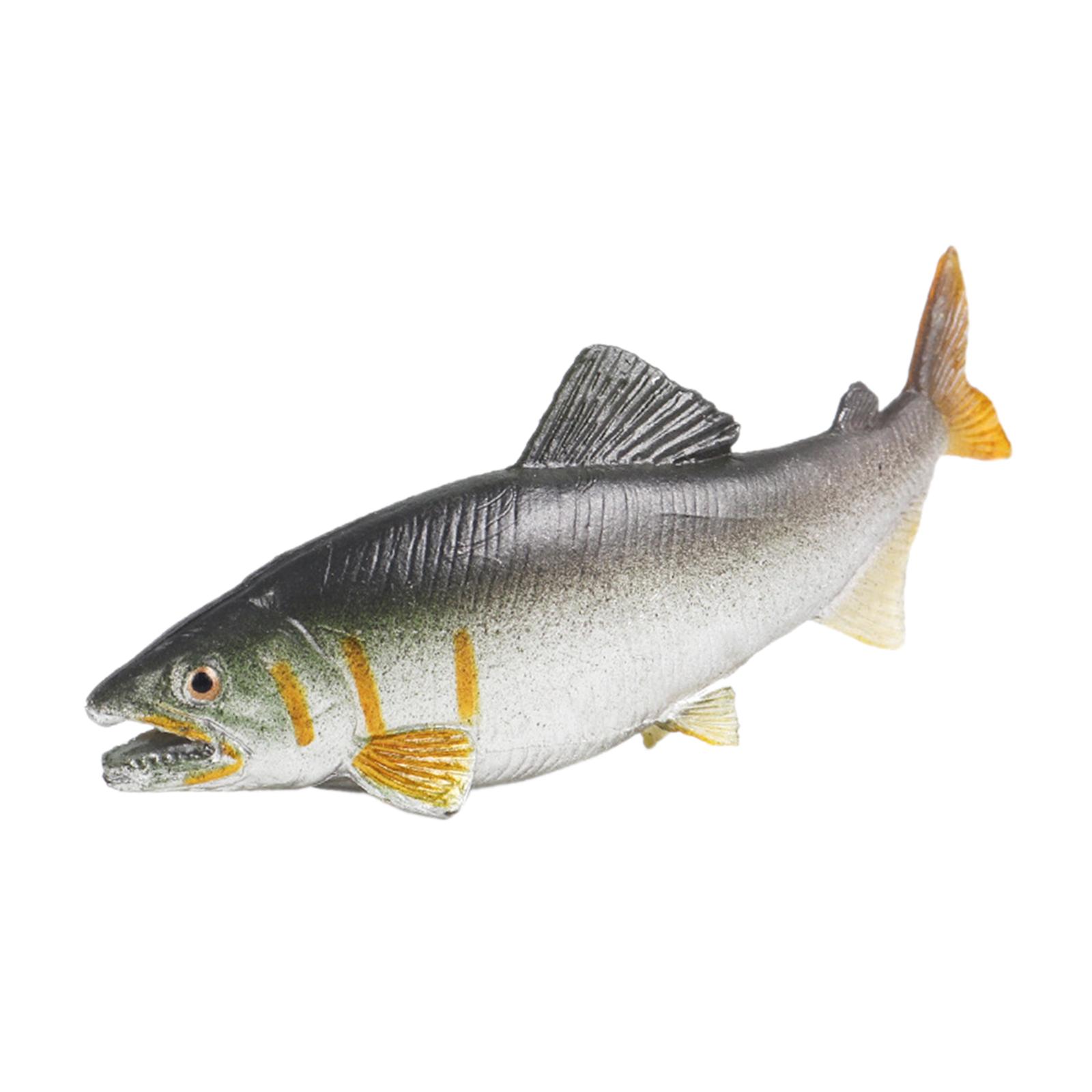 3x ديكورات حوض السمك على شكل س - مراجعة Fish Toy In Aquarium وسعره